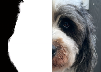 Maskieren in ComfyUI